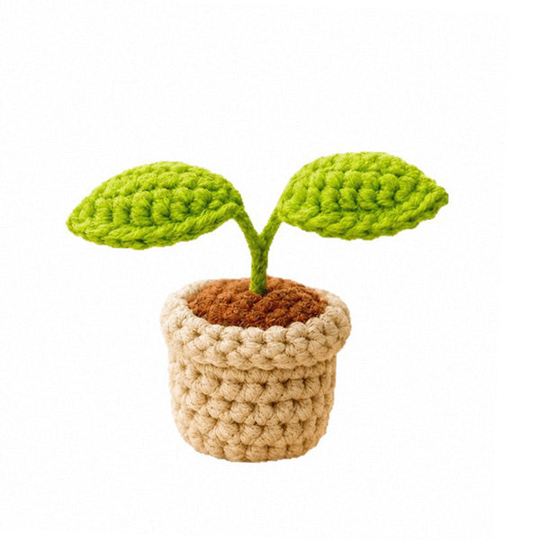 Crochet sprout plant pot on white background