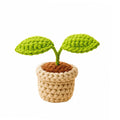 Crochet sprout plant pot on white background