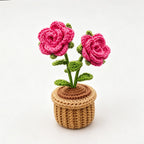 Handmade crochet rose flower pot decor on white background - side view