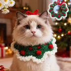 Ragdoll cat wearing handmade crochet Christmas wreath collar in green with red bow \| Knoblom